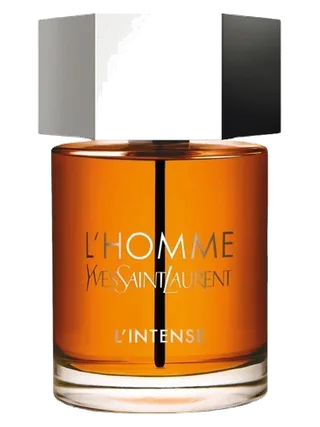 Yves Saint Laurent L'Homme Parfum Intense