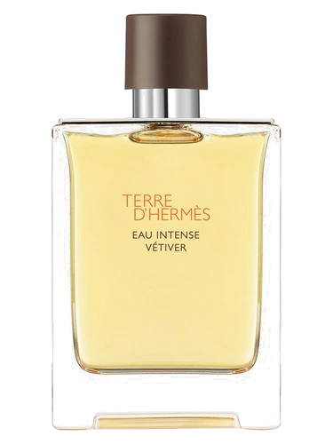 Hermès Terre D'Hermes Eau Intense Vetiver
