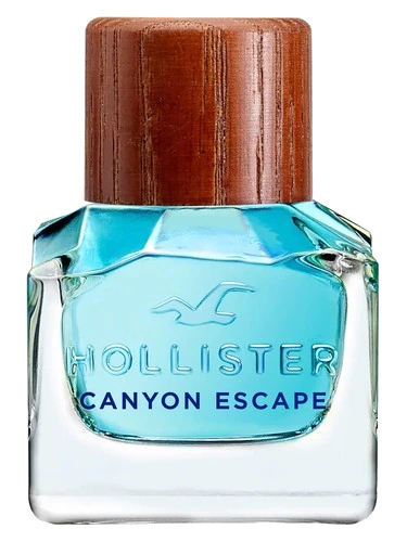 Hollister Hollister Canyon Escape Man